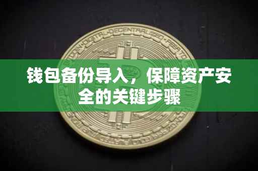 钱包备份导入,保障资产安全的关键步骤