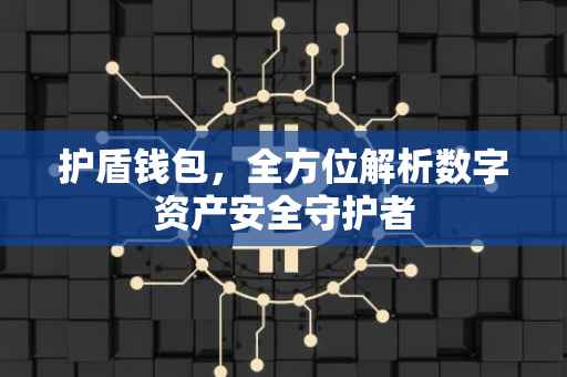 护盾钱包,全方位解析数字资产安全守护者