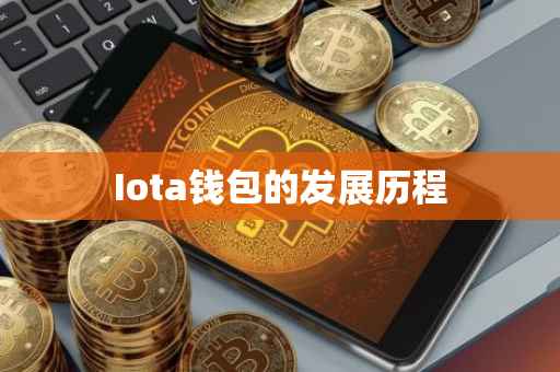 Iota钱包的发展历程
