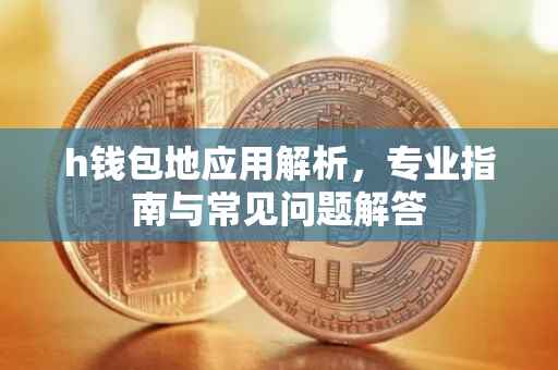 h钱包地应用解析，专业指南与常见问题解答