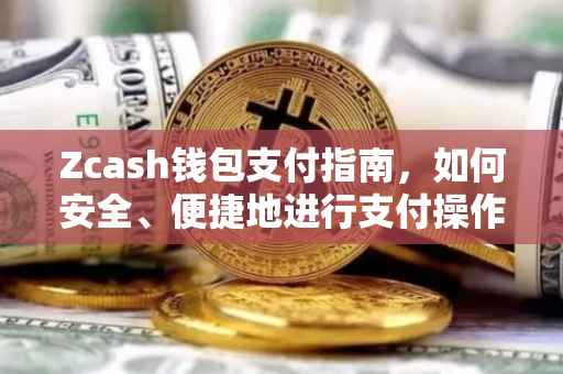 Zcash钱包支付指南，如何安全、便捷地进行支付操作？