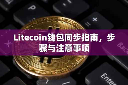 Litecoin钱包同步指南，步骤与注意事项