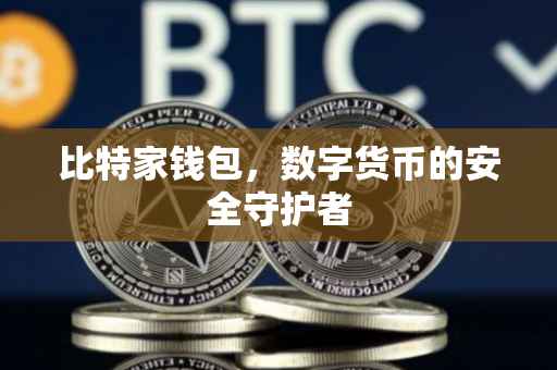 比特家钱包，数字货币的安全守护者