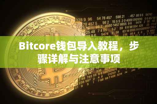 Bitcore钱包导入教程，步骤详解与注意事项