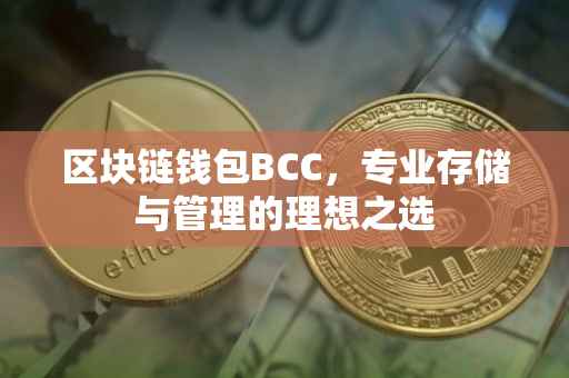 区块链钱包BCC,专业存储与管理的理想之选