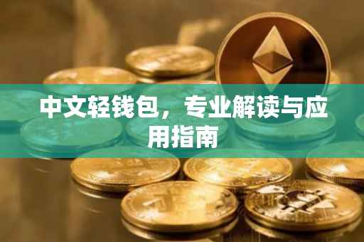 中文轻钱包,专业解读与应用指南