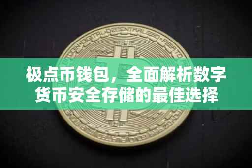 极点币钱包，全面解析数字货币安全存储的最佳选择