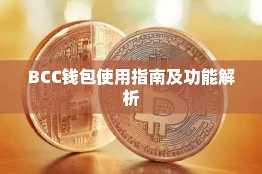 BCC钱包使用指南及功能解析