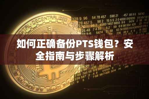 如何正确备份PTS钱包？安全指南与步骤解析