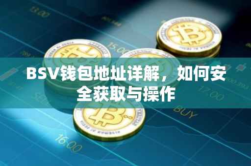 BSV钱包地址详解，如何安全获取与操作