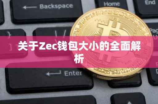 关于Zec钱包大小的全面解析