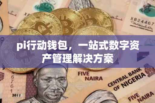 pi行动钱包，一站式数字资产管理解决方案