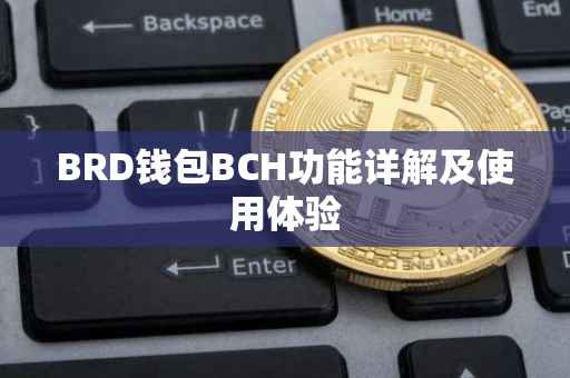 BRD钱包BCH功能详解及使用体验