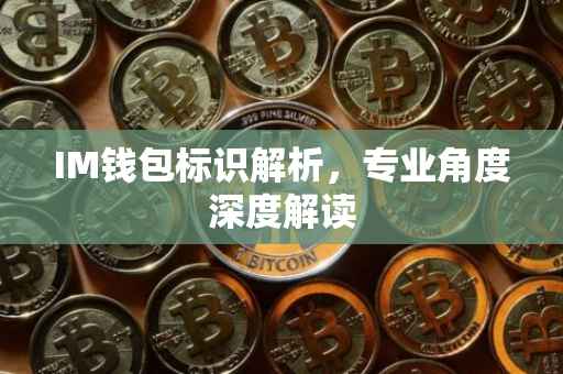 IM钱包标识解析，专业角度深度解读