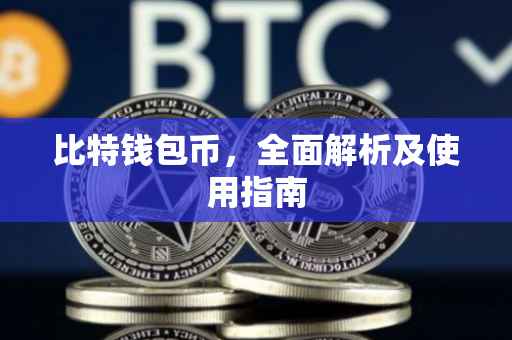 比特钱包币，全面解析及使用指南