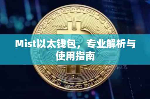 Mist以太钱包，专业解析与使用指南
