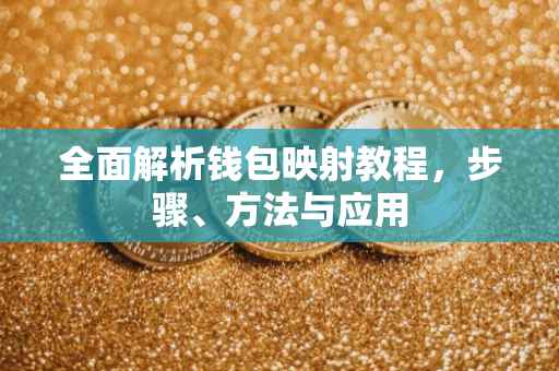 全面解析钱包映射教程，步骤、方法与应用