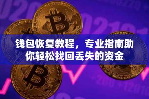 钱包恢复教程,专业指南助你轻松找回丢失的资金