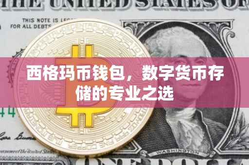 西格玛币钱包，数字货币存储的专业之选