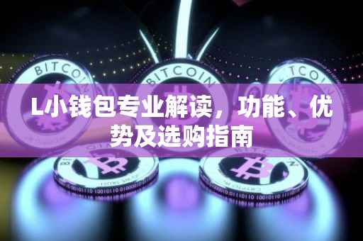 L小钱包专业解读,功能、优势及选购指南