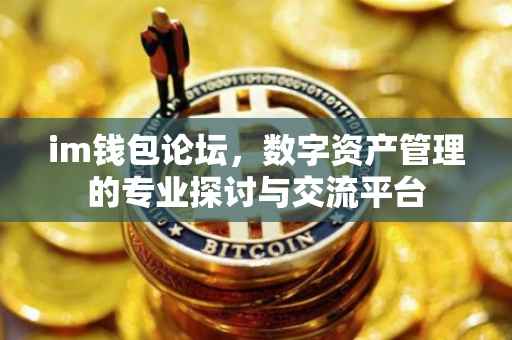 im钱包论坛,数字资产管理的专业探讨与交流平台