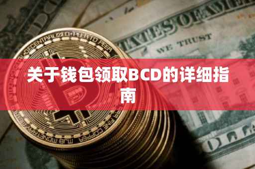 关于钱包领取BCD的详细指南