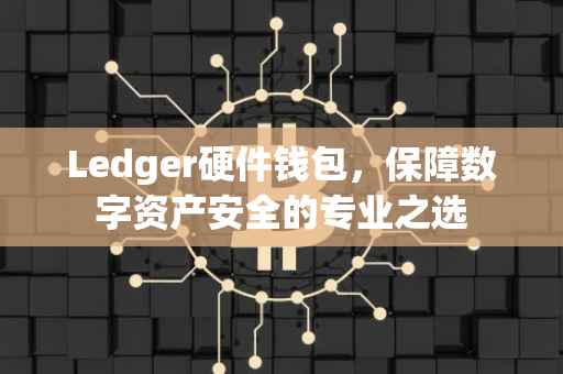 Ledger硬件钱包，保障数字资产安全的专业之选