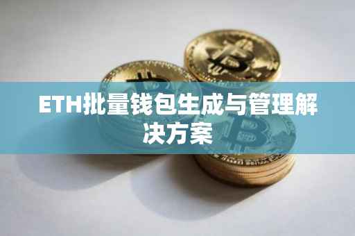 ETH批量钱包生成与管理解决方案