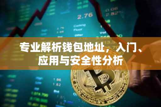 专业解析钱包地址，入门、应用与安全性分析