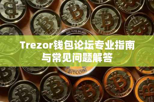 Trezor钱包论坛专业指南与常见问题解答