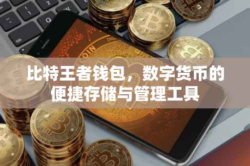 比特王者钱包，数字货币的便捷存储与管理工具
