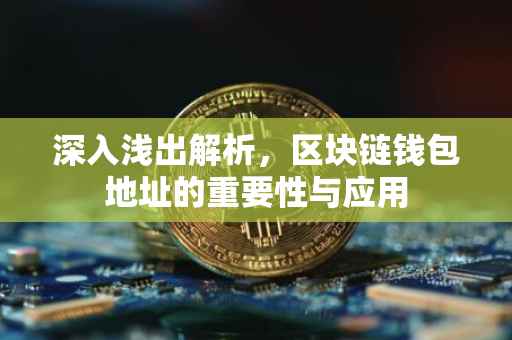 深入浅出解析，区块链钱包地址的重要性与应用
