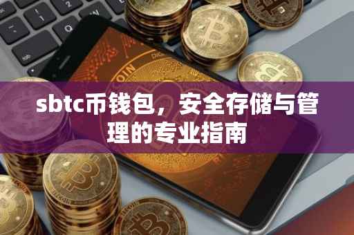 sbtc币钱包，安全存储与管理的专业指南