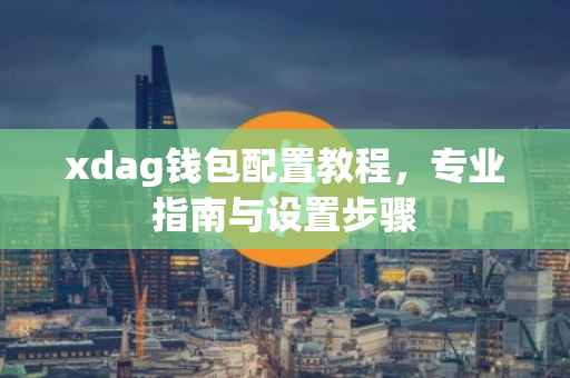 xdag钱包配置教程，专业指南与设置步骤