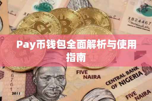 Pay币钱包全面解析与使用指南