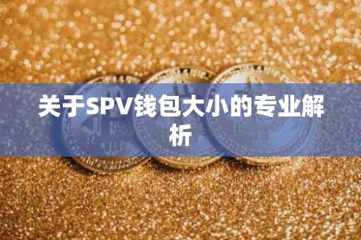 关于SPV钱包大小的专业解析