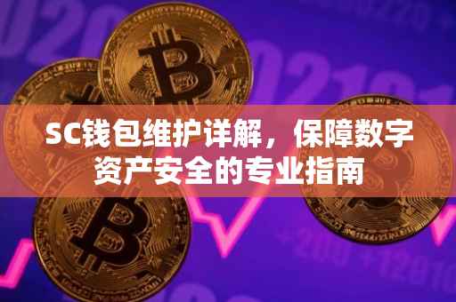 SC钱包维护详解，保障数字资产安全的专业指南