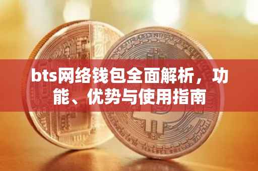 bts网络钱包全面解析，功能、优势与使用指南