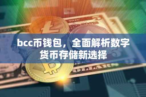 bcc币钱包，全面解析数字货币存储新选择