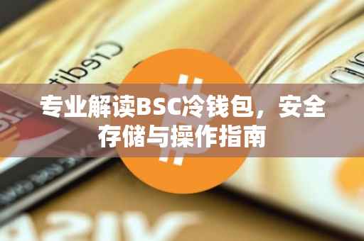 专业解读BSC冷钱包，安全存储与操作指南