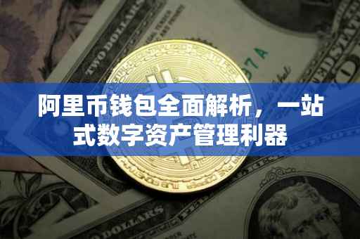 阿里币钱包全面解析，一站式数字资产管理利器