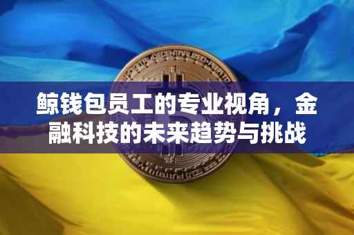鲸钱包员工的专业视角，金融科技的未来趋势与挑战