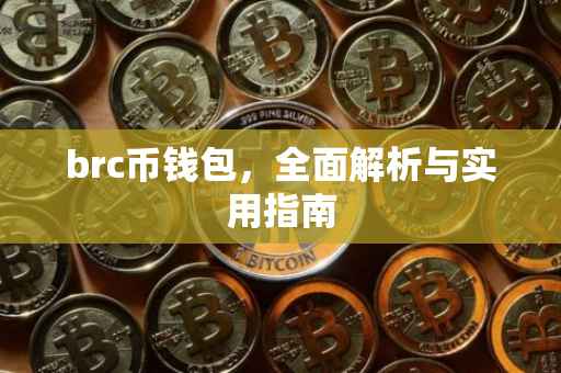 brc币钱包，全面解析与实用指南