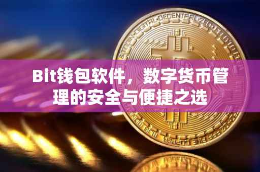 Bit钱包软件，数字货币管理的安全与便捷之选