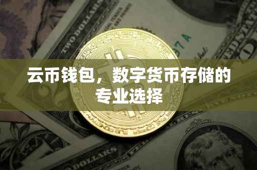 云币钱包，数字货币存储的专业选择