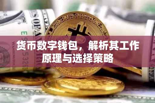 货币数字钱包,解析其工作原理与选择策略