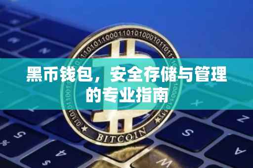 黑币钱包,安全存储与管理的专业指南