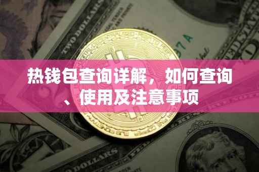 热钱包查询详解，如何查询、使用及注意事项
