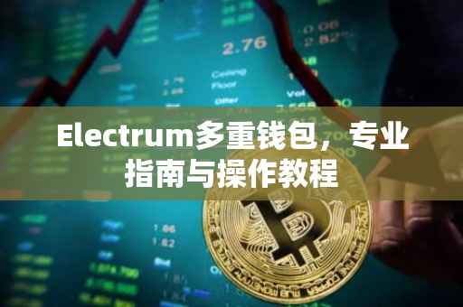 Electrum多重钱包,专业指南与操作教程