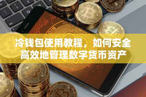 冷钱包使用教程，如何安全高效地管理数字货币资产